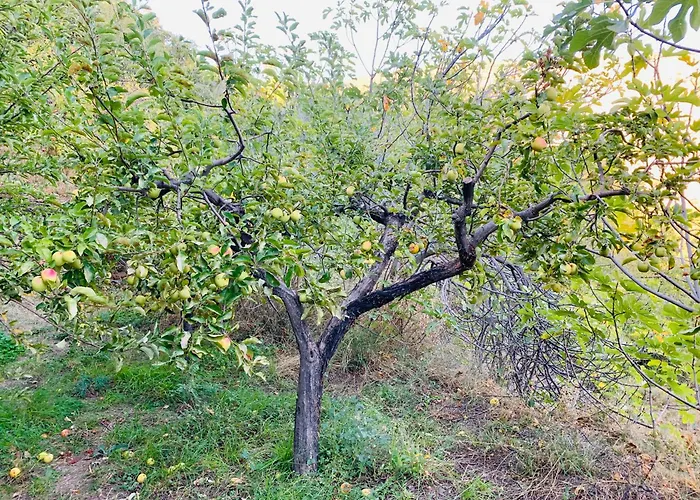 Barranco De La Salud